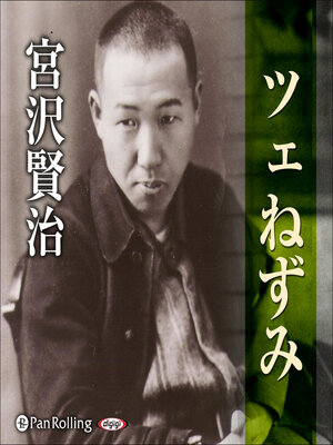 cover image of 宮沢賢治 03「ツェねずみ」